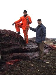 Endre Hoffeker og Erik Leister ved hvalkadaveret